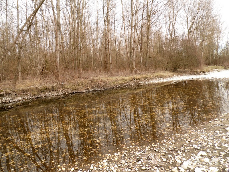 Un mondo riflesso...
